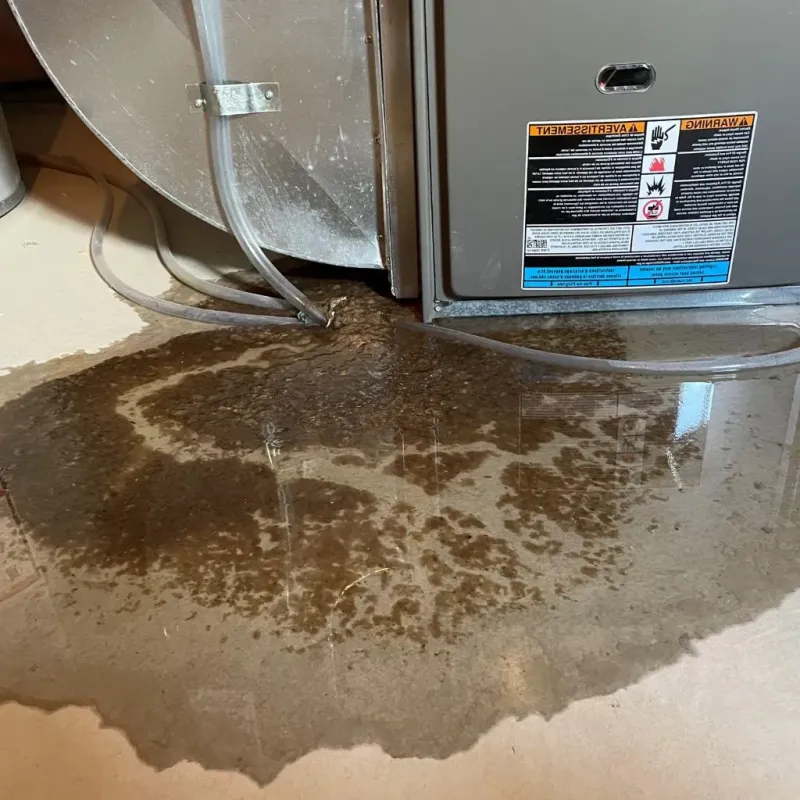 Pipe Burst and Leak Restoration in Traverse County, MN