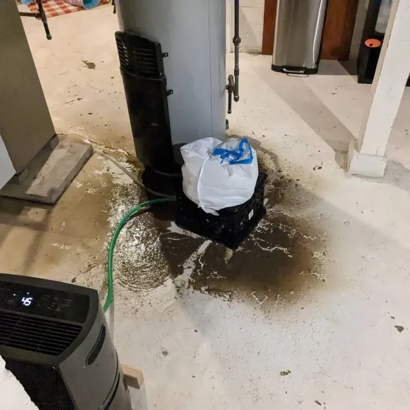 Sewage Backup Cleanup Service in Traverse County, MN